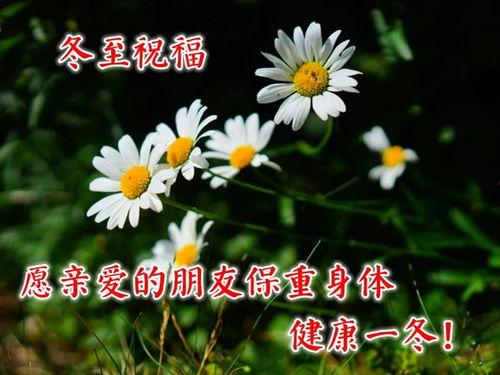 早安爆料大蘑菇视频,早安爆料视频背后的惊人真相 第1张 早安爆料大蘑菇视频,早安爆料视频背后的惊人真相 第1张