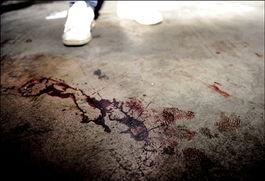 血腥片在线观看,在线惊悚片盛宴  第1张